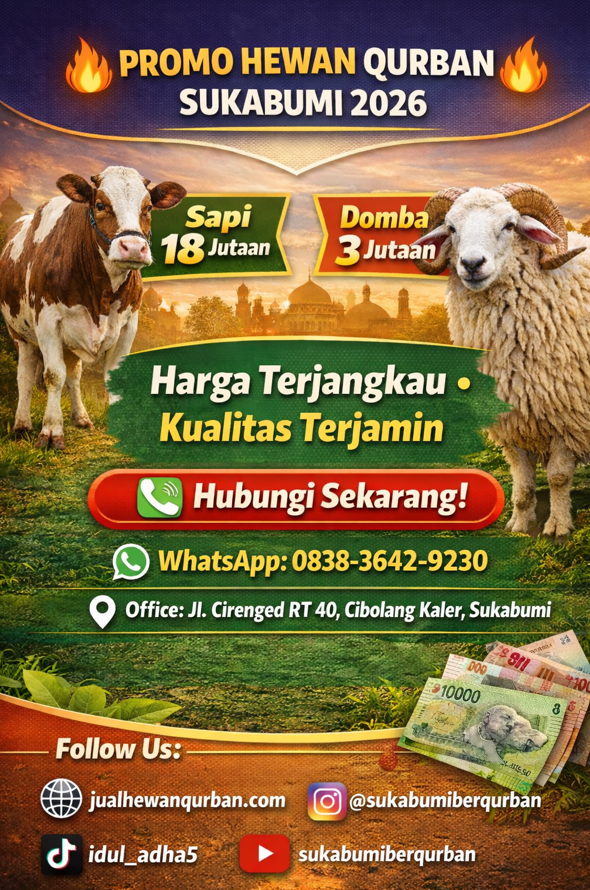 promo harga hewn qurban sapi d
