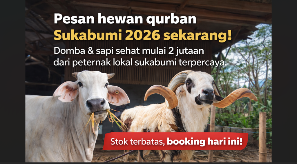 jual sapi domba qurban sukabumi 2026