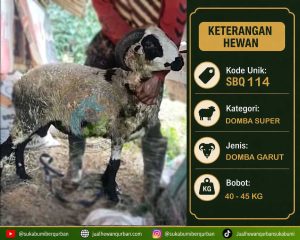 hewan qurban sukabumi