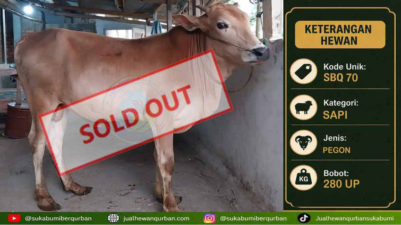 SOLDOUT SAPI 22 mei 4